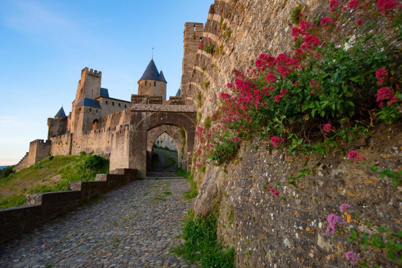 Tout Confort ! Calme, Climatisation, Vue Degagee, Ville ,Parking Gratuit, Ascenseur, Wifi Carcassonne Exterior photo